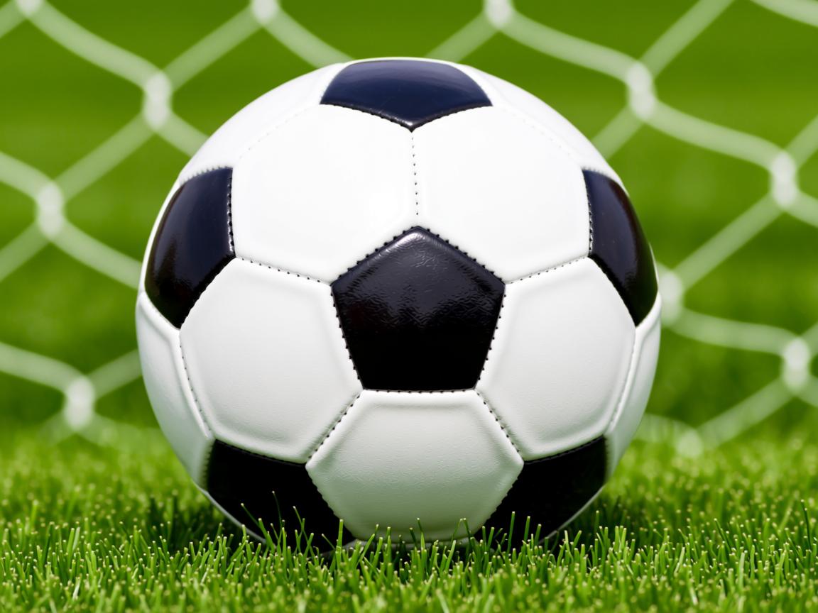 开云官方网-CBA青年联赛表现抢眼 多名新星崭露头角，cba青年队要上学吗  第3张